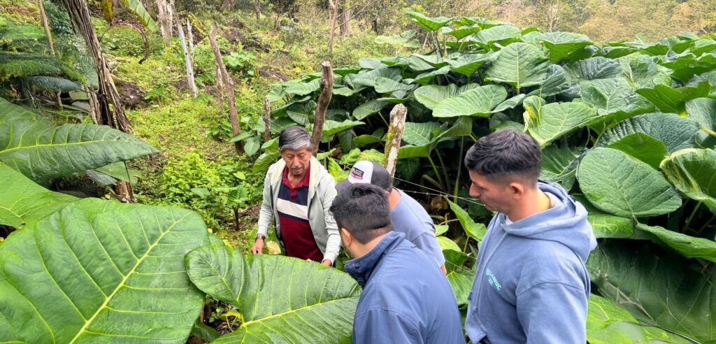 la contaminación plástica en Galápagos