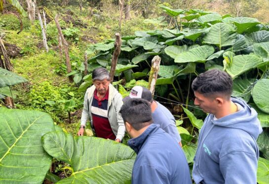 la contaminación plástica en Galápagos