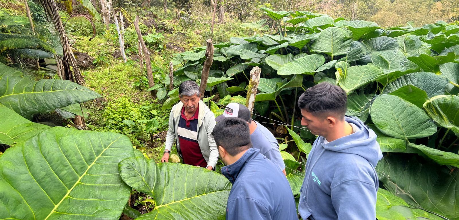 la contaminación plástica en Galápagos