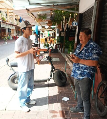 Participación Estudiantil, Encuestas