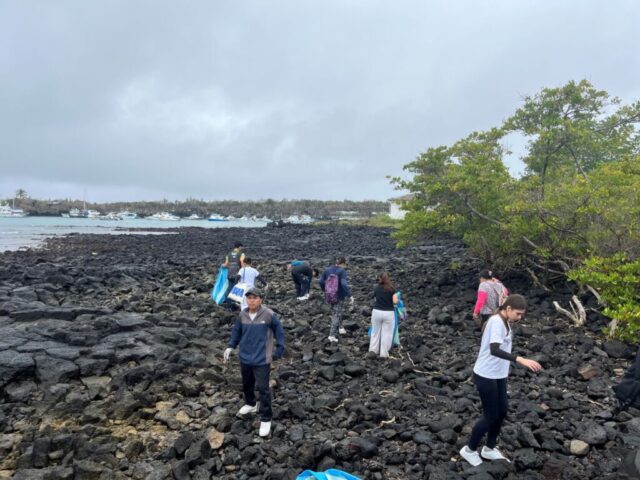 Participación Estudiantil, Limpieza Costera